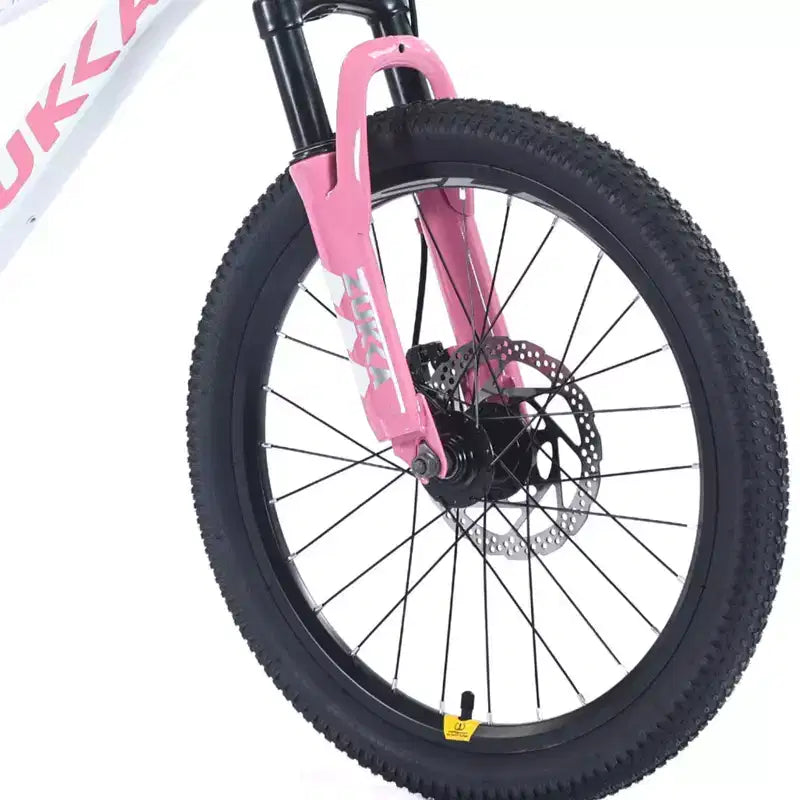 Biciclette, Bici Ibrida da Strada da 20 Pollici per Bambini di 7-10 Anni, Bici da Pendolare in Acciaio, Bici da Città da Spiaggia Monomarcia per Bambini e Bambine