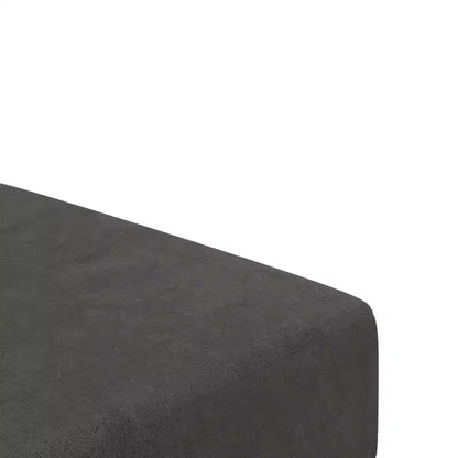 vidaXL 2-Seater Sofa Bed Accent Upholstered Loveseat Sleeper Couch Velvet