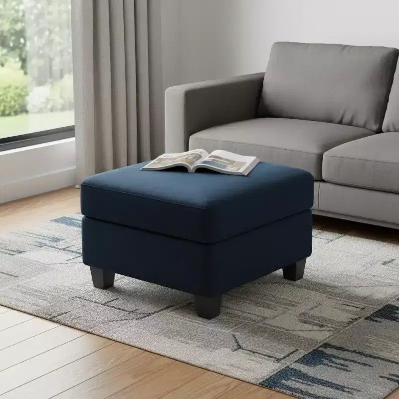 25 Pouf contenitore in velluto