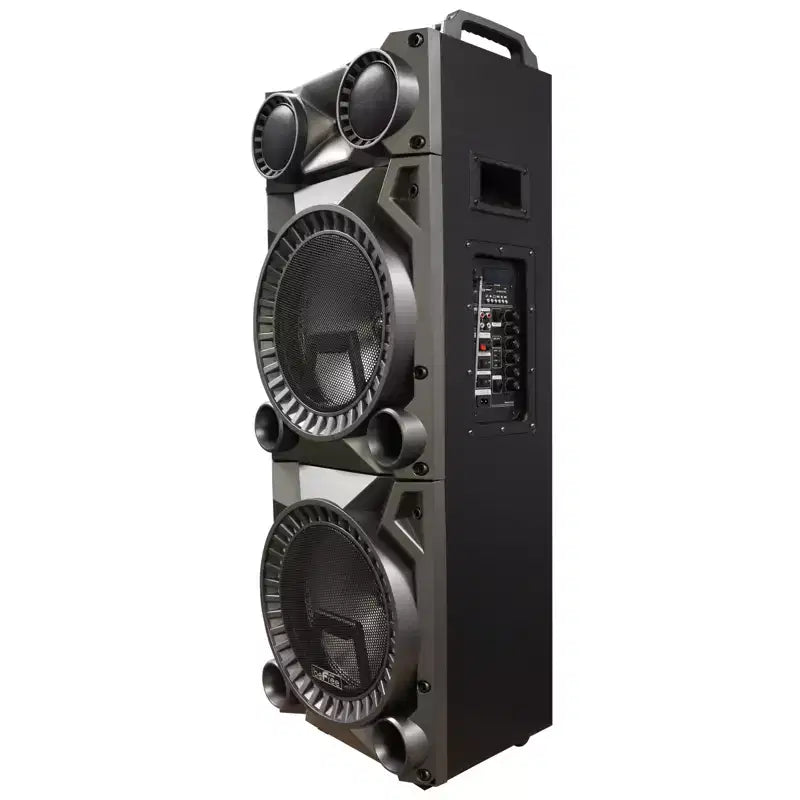 beFree Portable 12inch double subwoofer speaker system