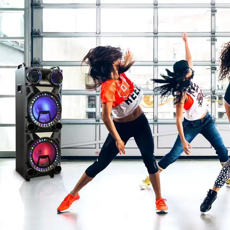 beFree Portable 12inch double subwoofer speaker system