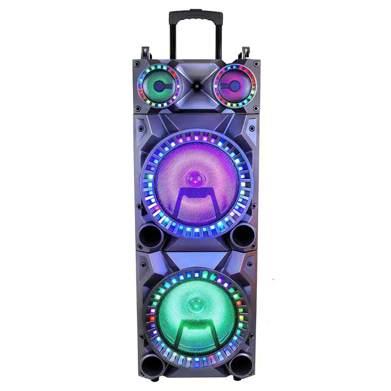 beFree Portable 12inch double subwoofer speaker system