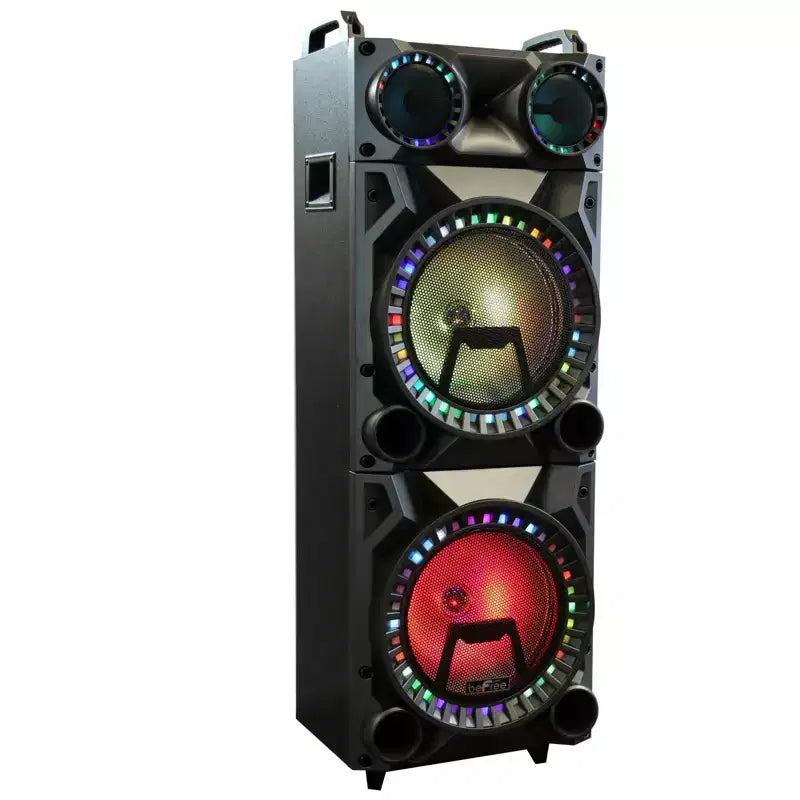 beFree Portable 12inch double subwoofer speaker system