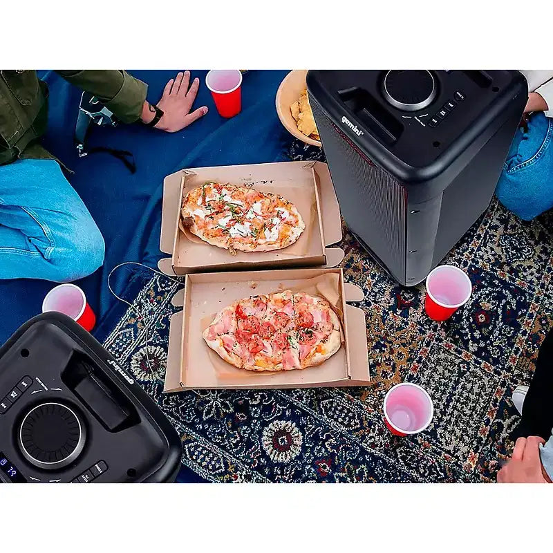 Gemini GLS-550 Dual 6.5 Portable Party System