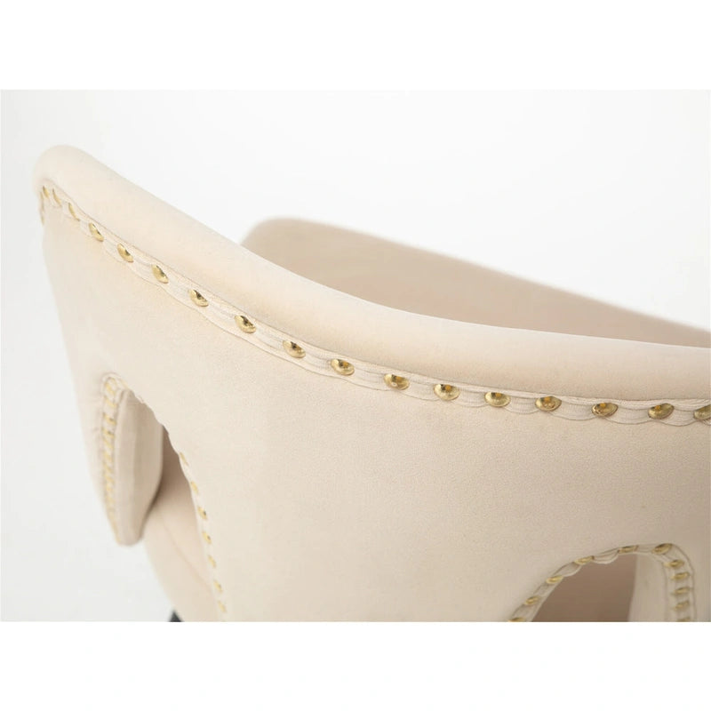 Clihome Set of 2 Contemporary Velvet Upholstered Dining Chair