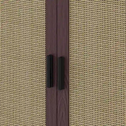 Functional 4-Door Rattan Decorative Storage Cabinet