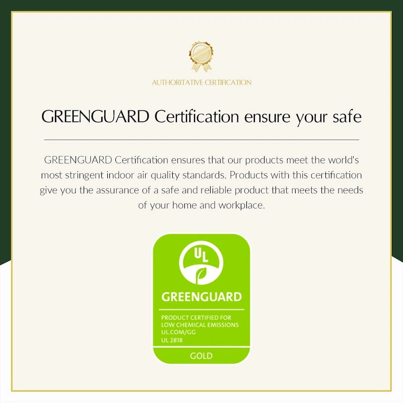 Levi Transitional Leather Armchair with Nailhead Trim Rolled Arms by HULALA HOME