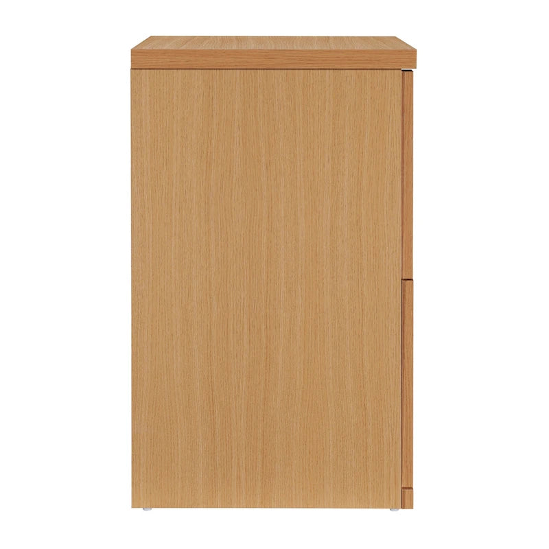 Denmark Vertical File