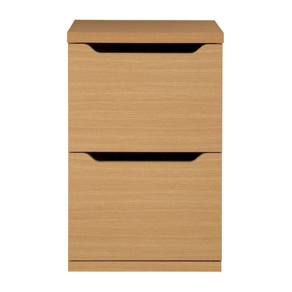 Denmark Vertical File