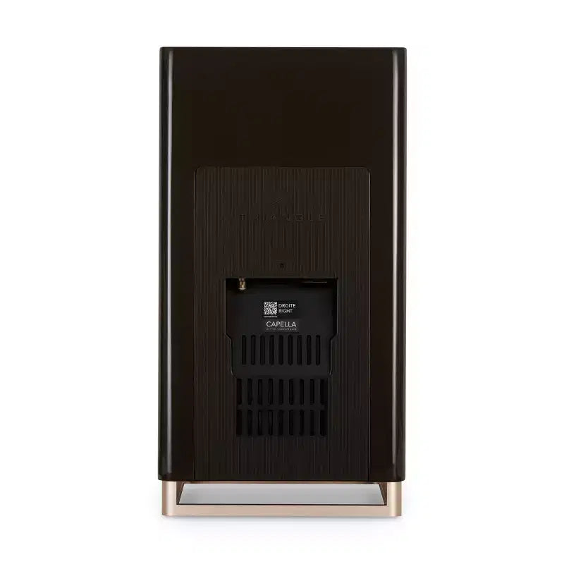 Casse Acustiche Attive da Scaffale Triangle Capella Wi-Fi e Bluetooth