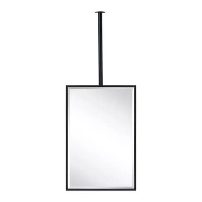 TEHOME Seren Specchio rettangolare da bagno da 20 pollici L x 30 pollici H con cornice in metallo, montaggio a soffitto, nero opaco