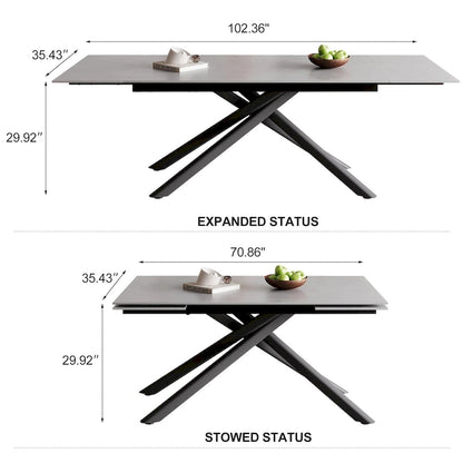 9 - Piece Extendable Rectangular Sintered Stone Cross Legs Dining Set With 8 Chairs