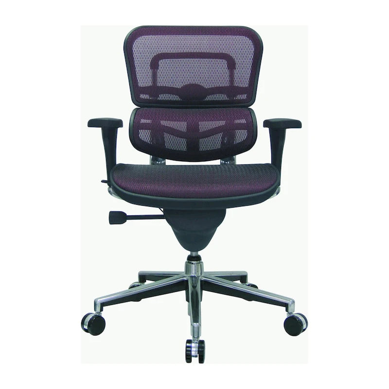 Eurotech Seating Ergohuman Mesh Managers Chair