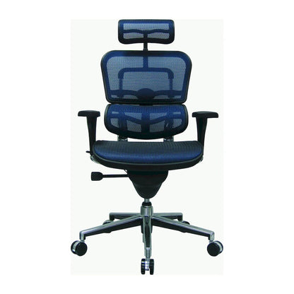 Eurotech Seating Ergohuman Mesh Managers Chair