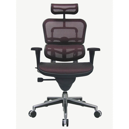 Eurotech Seating Ergohuman Mesh Managers Chair