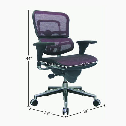 Eurotech Seating Ergohuman Mesh Managers Chair