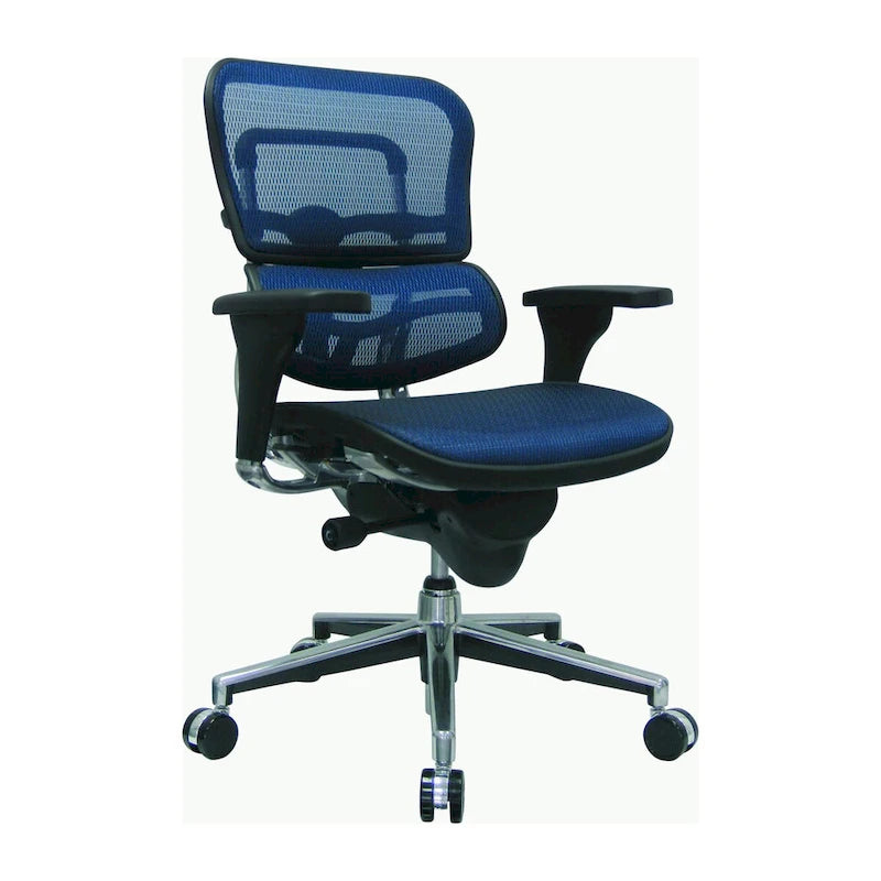 Eurotech Seating Ergohuman Mesh Managers Chair